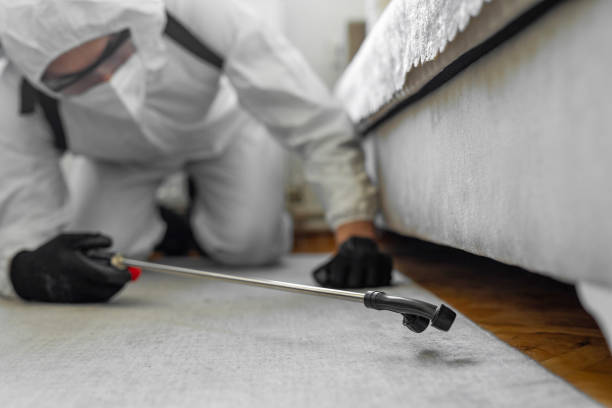 Professional Cockroach Control technician working in Preston, IA